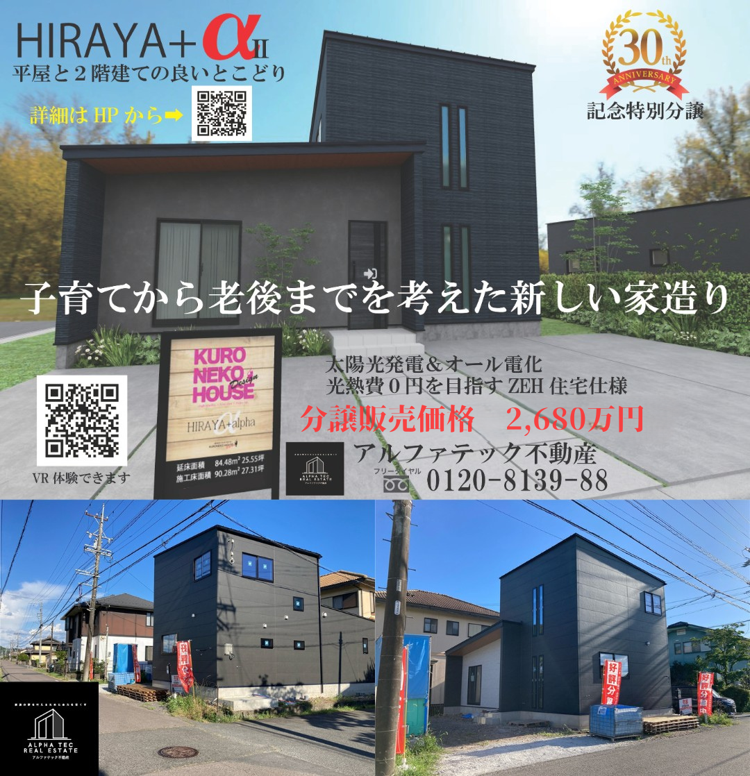 クロネコハウス平屋プラスアルファ分譲住宅